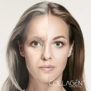 The Best Collagen for Better Health Benefits